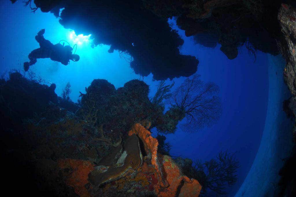 Bohio Dive Resort Cockburn Town Extérieur photo