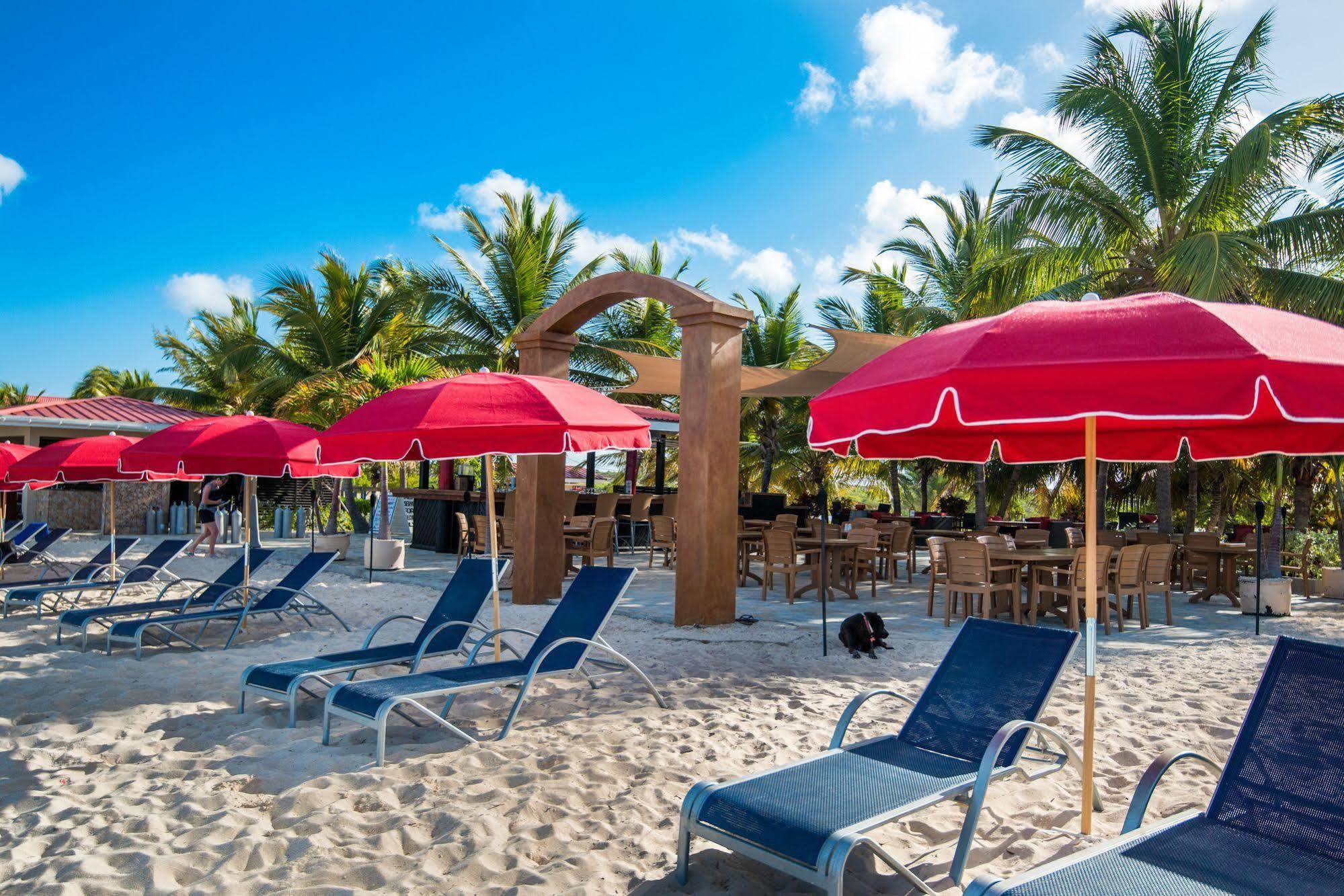 Bohio Dive Resort Cockburn Town Extérieur photo