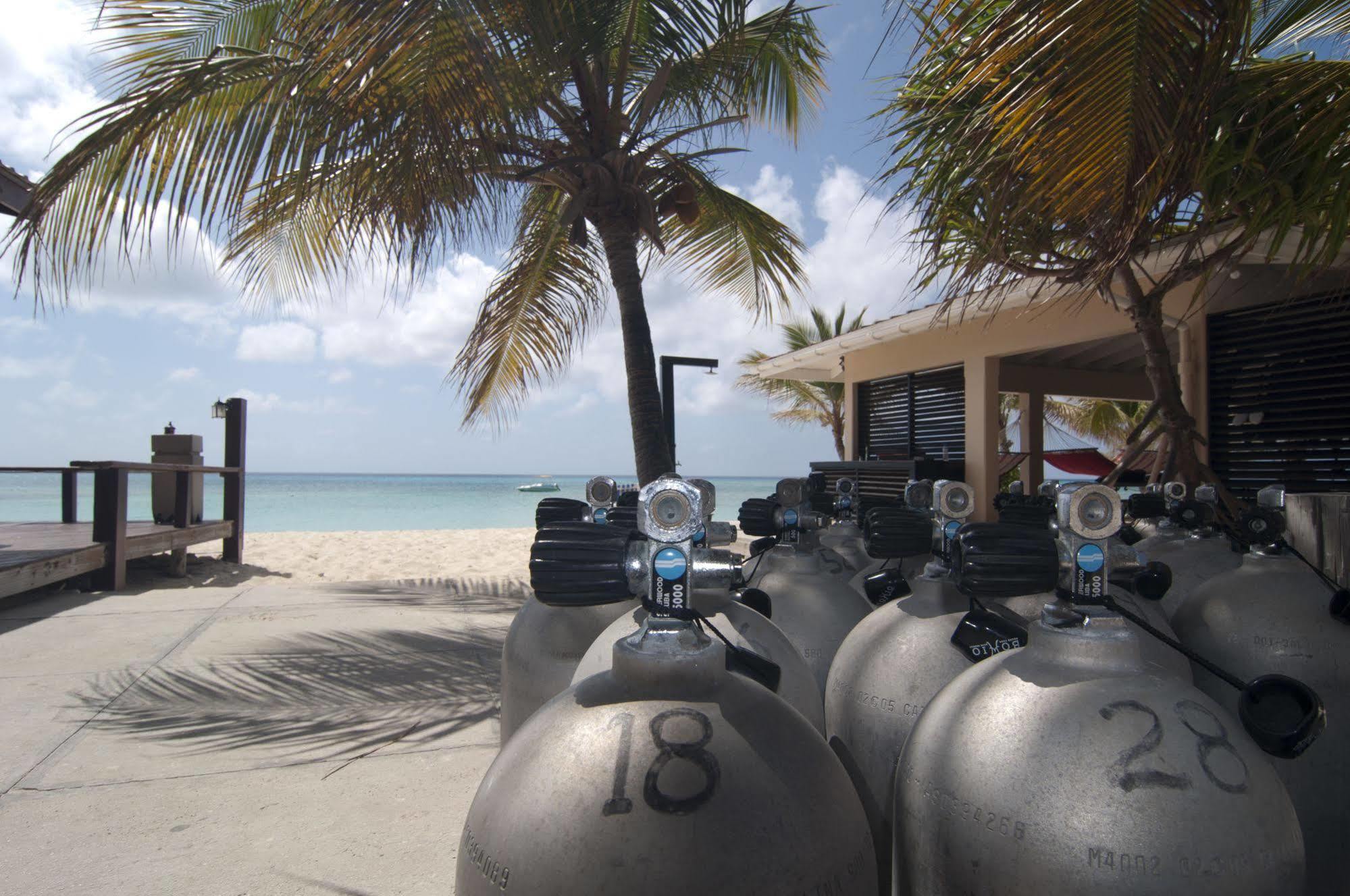 Bohio Dive Resort Cockburn Town Extérieur photo