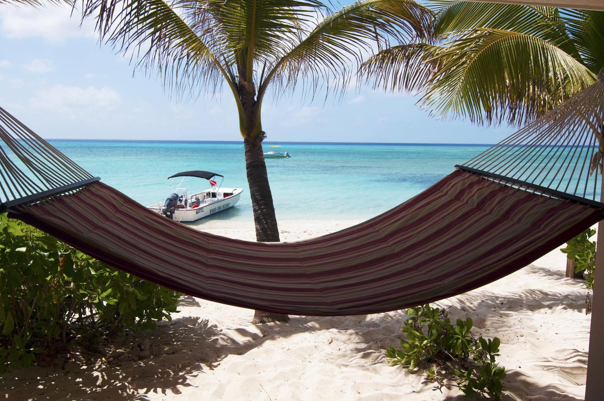 Bohio Dive Resort Cockburn Town Extérieur photo